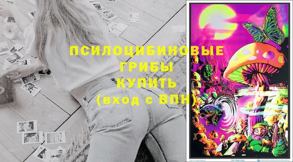 гидра Балабаново